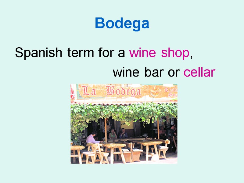Bodega Spanish term for a wine shop,       